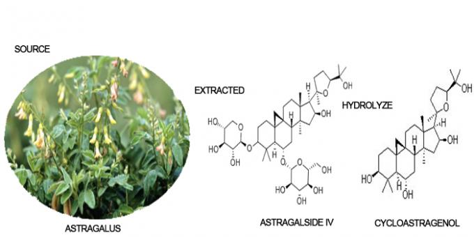 عصاره ریشه Astragalus فعال شده مکمل مواد غذایی CAS 78574-94-4 0