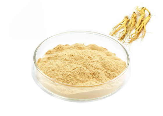 چین پودر عصاره جینسنگ Panaxoside درجه مواد غذایی برای محصولات بهداشتی تامین کننده