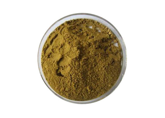 پودر عصاره برگ جینکو قهوه ای تغذیه ای درجه غذایی تامین کننده