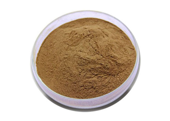 عصاره استاندارد Ginkgo Biloba چربی خون 24/6 را تنظیم کنید تامین کننده