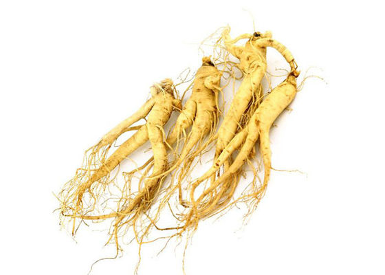 پودر عصاره جینسنگ طبیعی 80٪ Panax Root تامین کننده