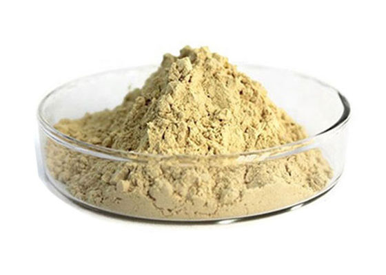 CAS 90045-38-8 80٪ جینسوزیدهای خالص گیاهی پودر جینسنگ گیاهی تامین کننده