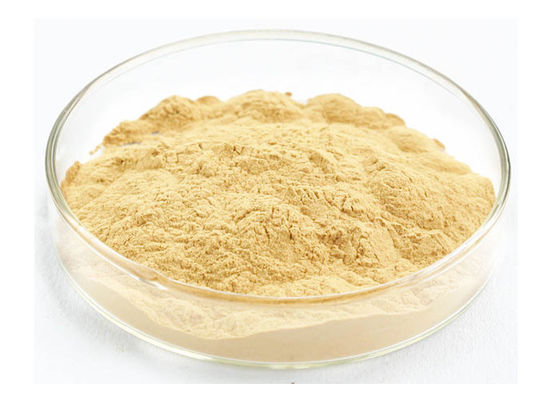 پودر عصاره جینسنگ Panaxoside درجه مواد غذایی برای محصولات بهداشتی تامین کننده