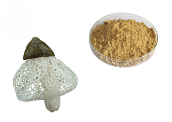 عصاره آلی Dictyophora Indusiata تامین کننده