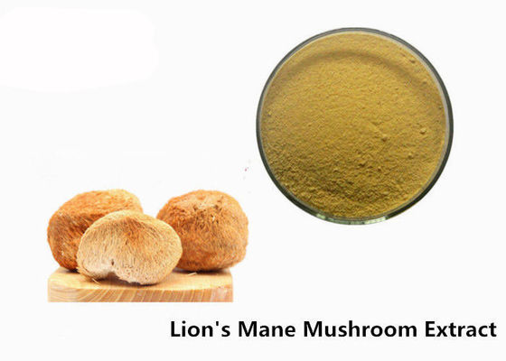 پودر قارچ Mane Lion'S Organic Lion'S Organic Lyn'S 50٪ ضد ویروسی تامین کننده