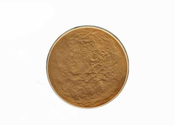 پودر عصاره قارچ Hericum Erinaceus 10٪ پلی ساکارید تامین کننده