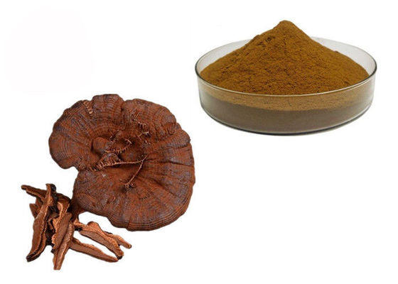 50٪ پودر عصاره قارچ Ganoderma Lucidum Reishi تامین کننده