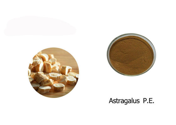 100٪ پودر عصاره Astragalus تامین کننده