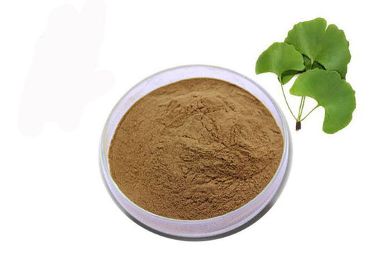 پودر عصاره برگ جینکو قهوه ای تغذیه ای درجه غذایی تامین کننده