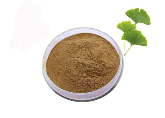 عصاره استاندارد Ginkgo Biloba چربی خون 24/6 را تنظیم کنید تامین کننده