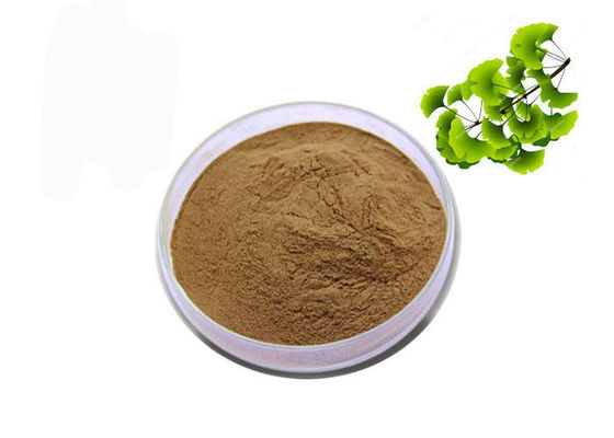 CAS 90045-36-6 برگهای خشک آلی پودر عصاره جینکو بیلوبا تامین کننده