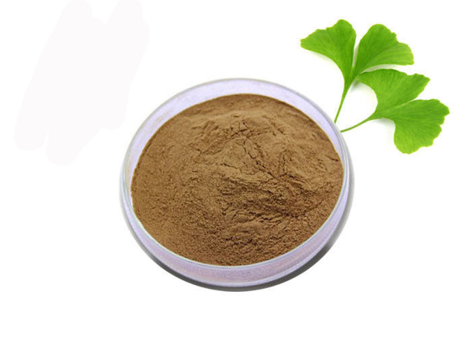 پودر عصاره جینکو بیلوبا خالص ضد اکسیدان درجه درجه پزشکی 0