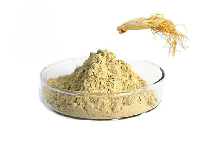 CAS 90045-38-8 80٪ جینسوزیدهای خالص گیاهی پودر جینسنگ گیاهی 0