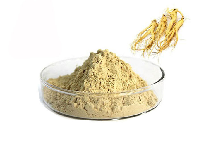 پودر عصاره جینسنگ طبیعی 80٪ Panax Root 0