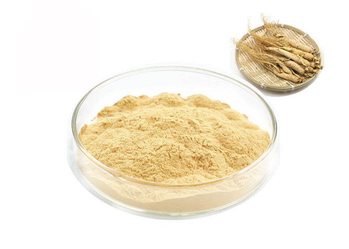 ریشه سیبری ارگانیک 30٪ 80٪ جینسینوزید عصاره جینسنگ خالص 0